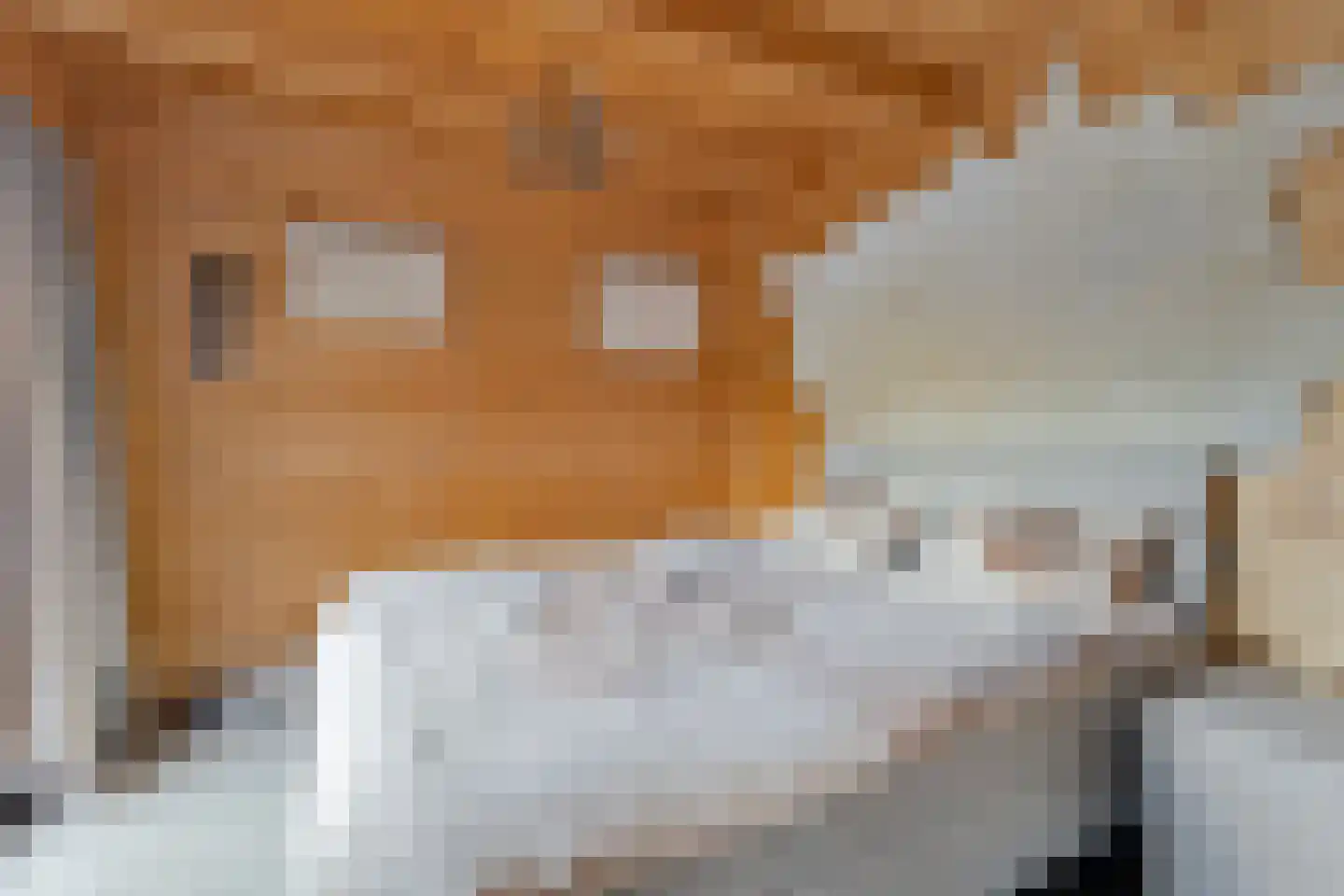 Binnenpad 12 a Koewacht thumbnail 33