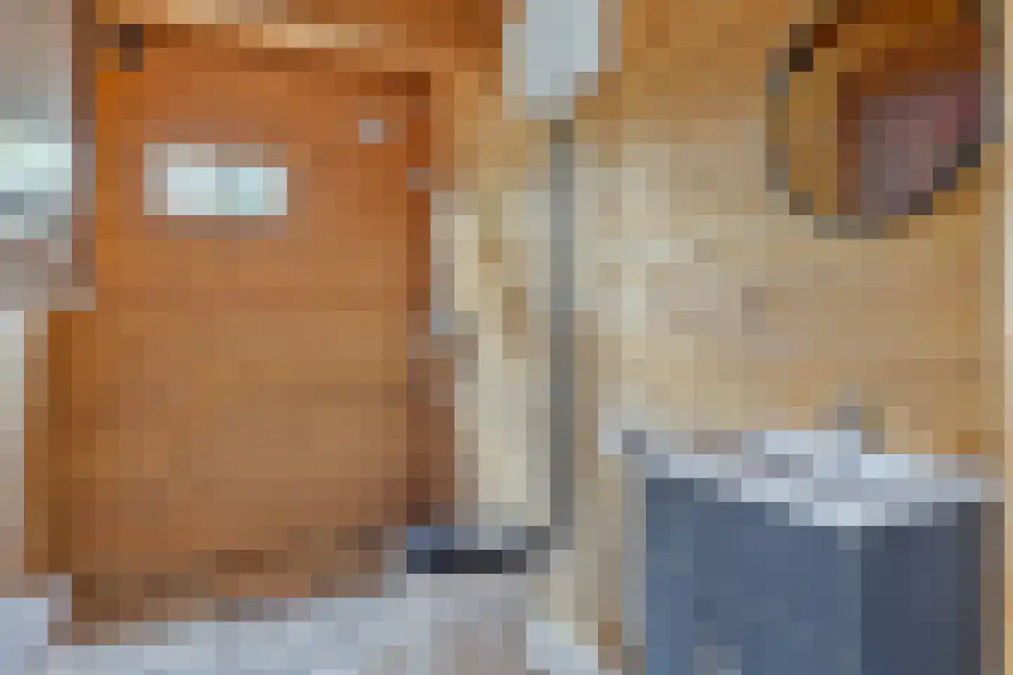 Binnenpad 12 a Koewacht thumbnail 34