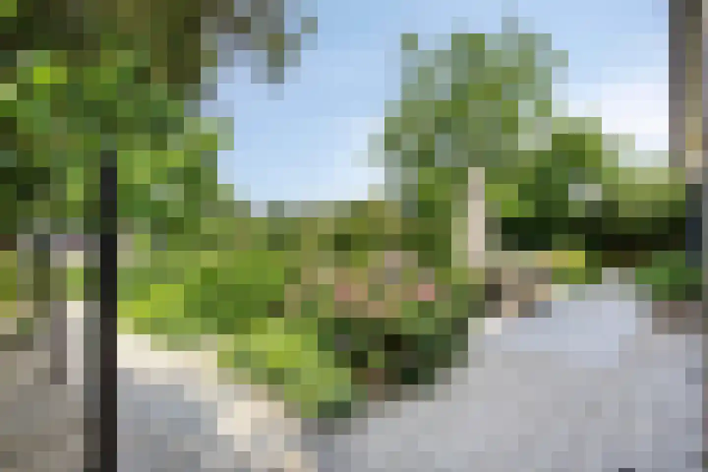 Binnenpad 12 a Koewacht thumbnail 35
