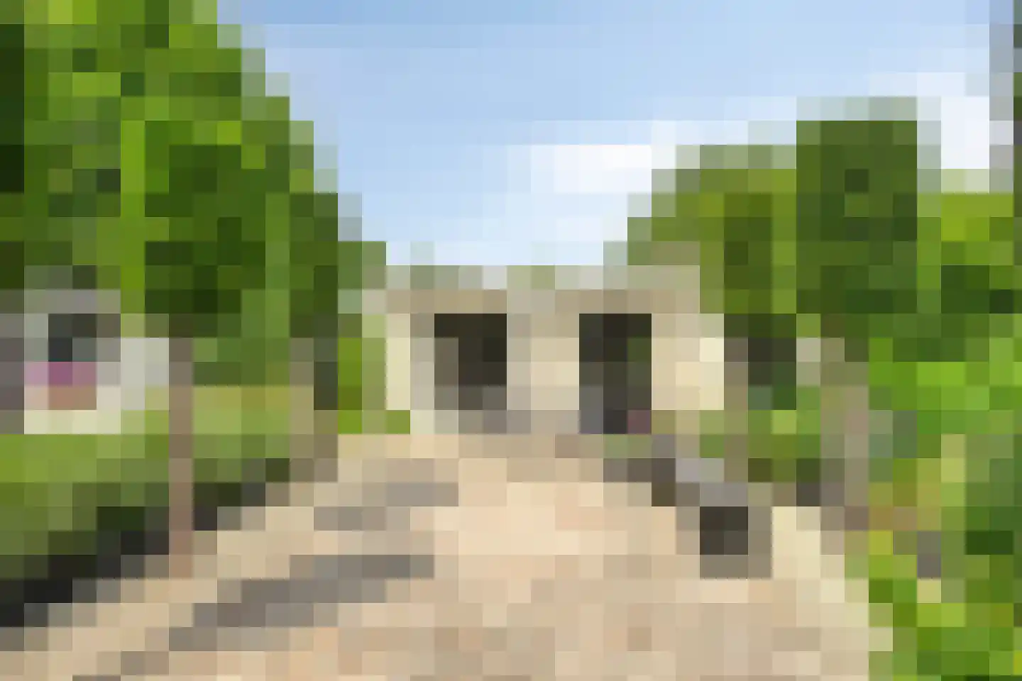 Binnenpad 12 a Koewacht thumbnail 41