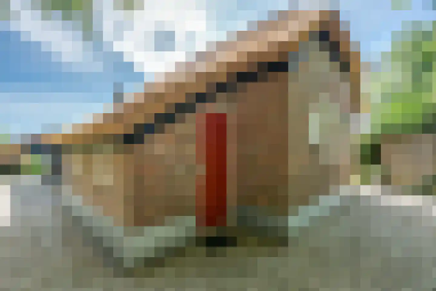 Binnenpad 127 Giethoorn thumbnail 33