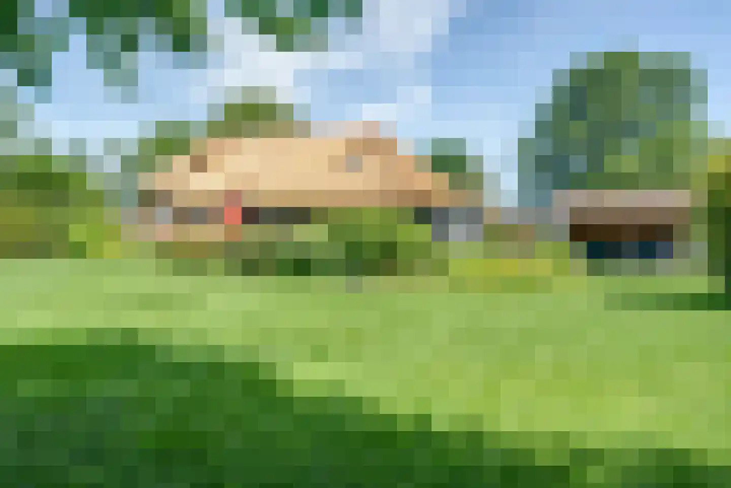 Binnenpad 127 Giethoorn thumbnail 38