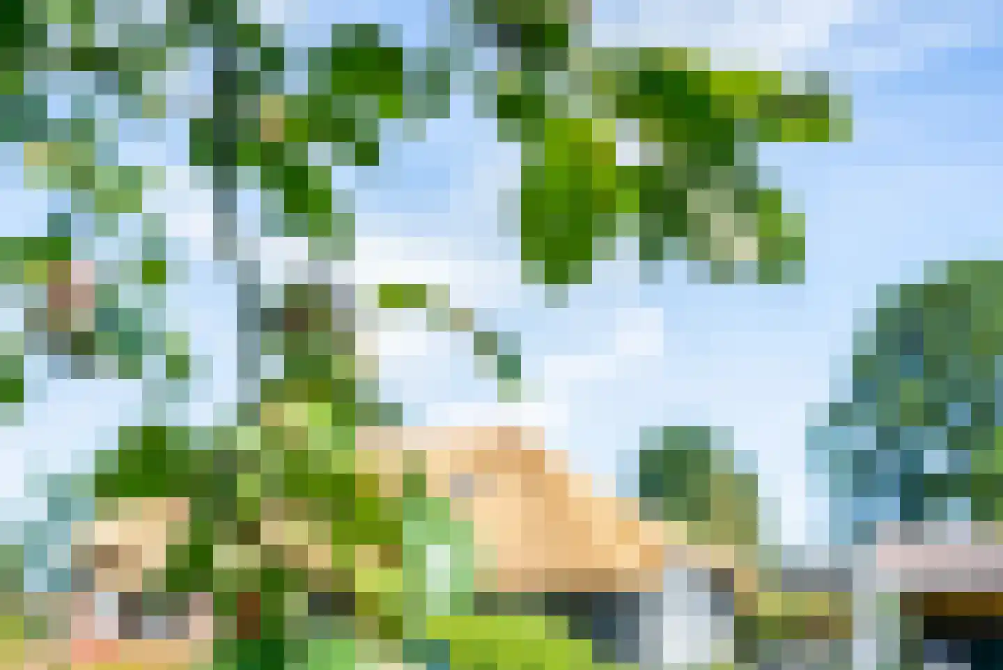 Binnenpad 127 Giethoorn thumbnail 39