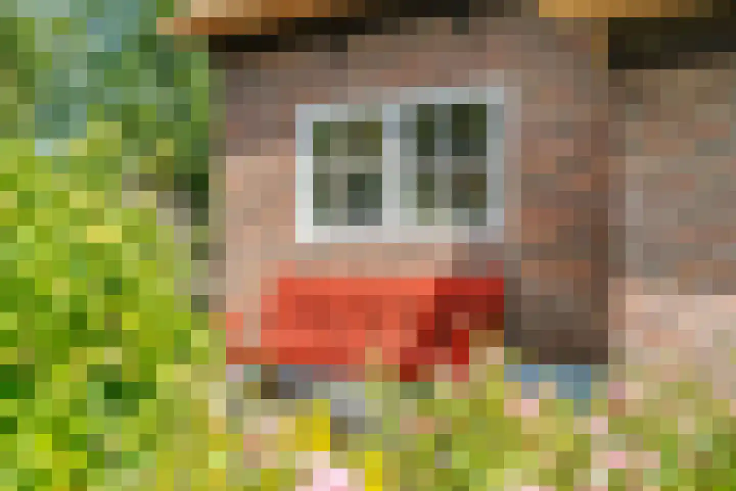 Binnenpad 127 Giethoorn thumbnail 5
