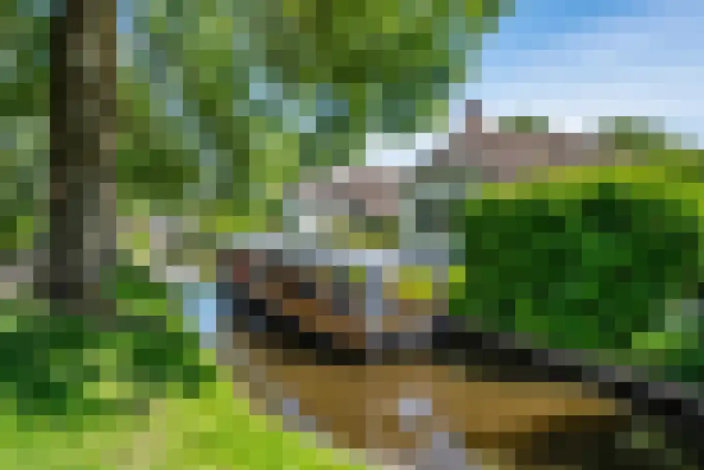 Binnenpad 127 Giethoorn thumbnail 50