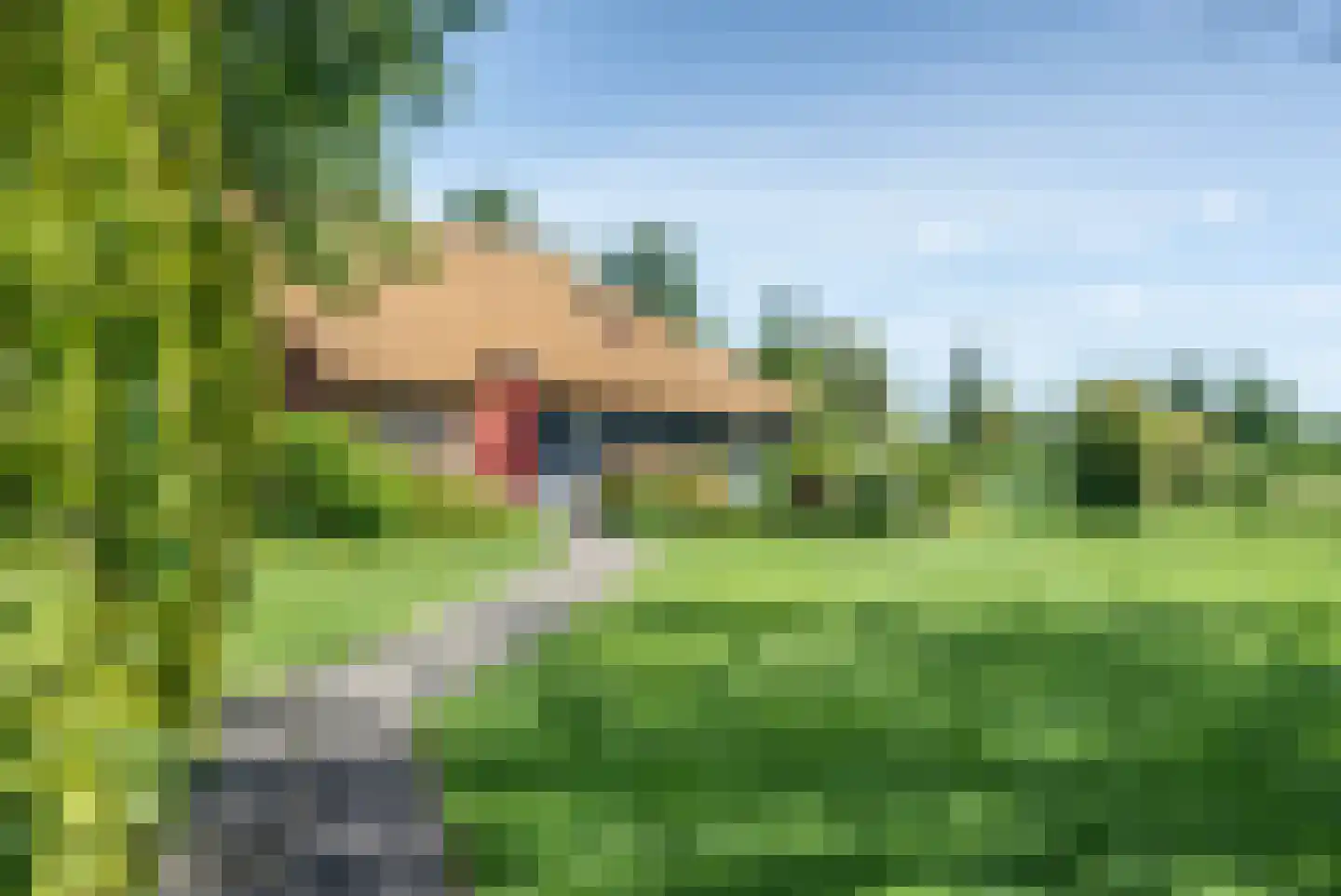 Binnenpad 127 Giethoorn thumbnail 53