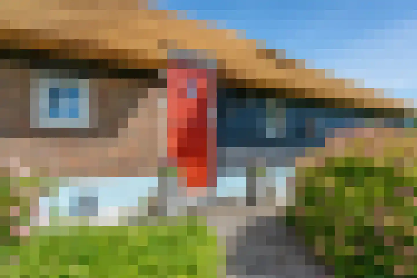 Binnenpad 127 Giethoorn thumbnail 55