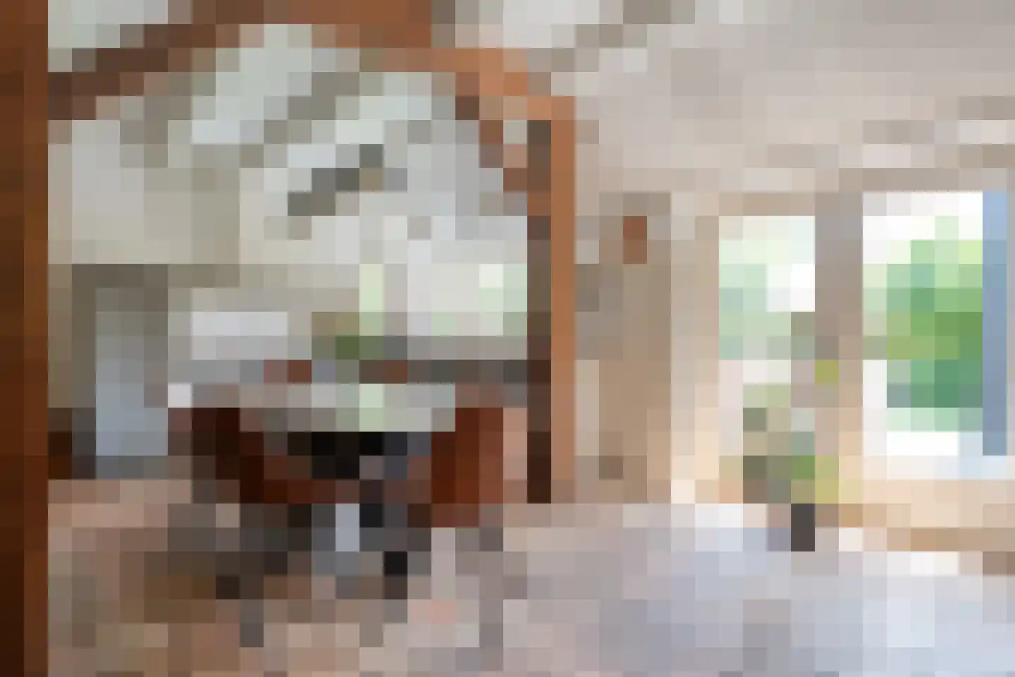 Binnenpad 16 Giethoorn thumbnail 21