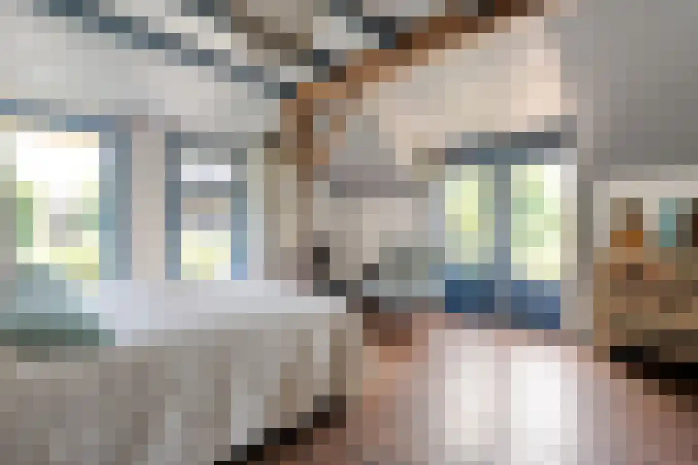 Binnenpad 16 Giethoorn thumbnail 22
