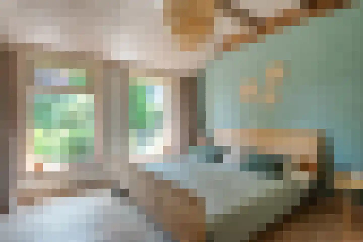 Binnenpad 16 Giethoorn thumbnail 29