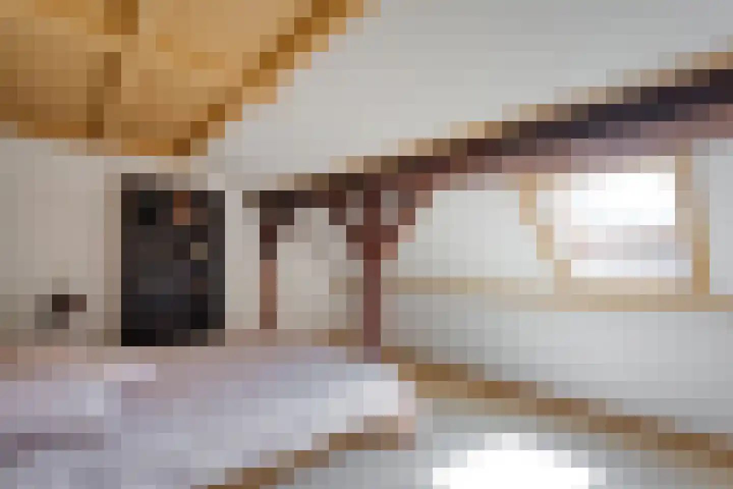 Binnenpad 16 Giethoorn thumbnail 32