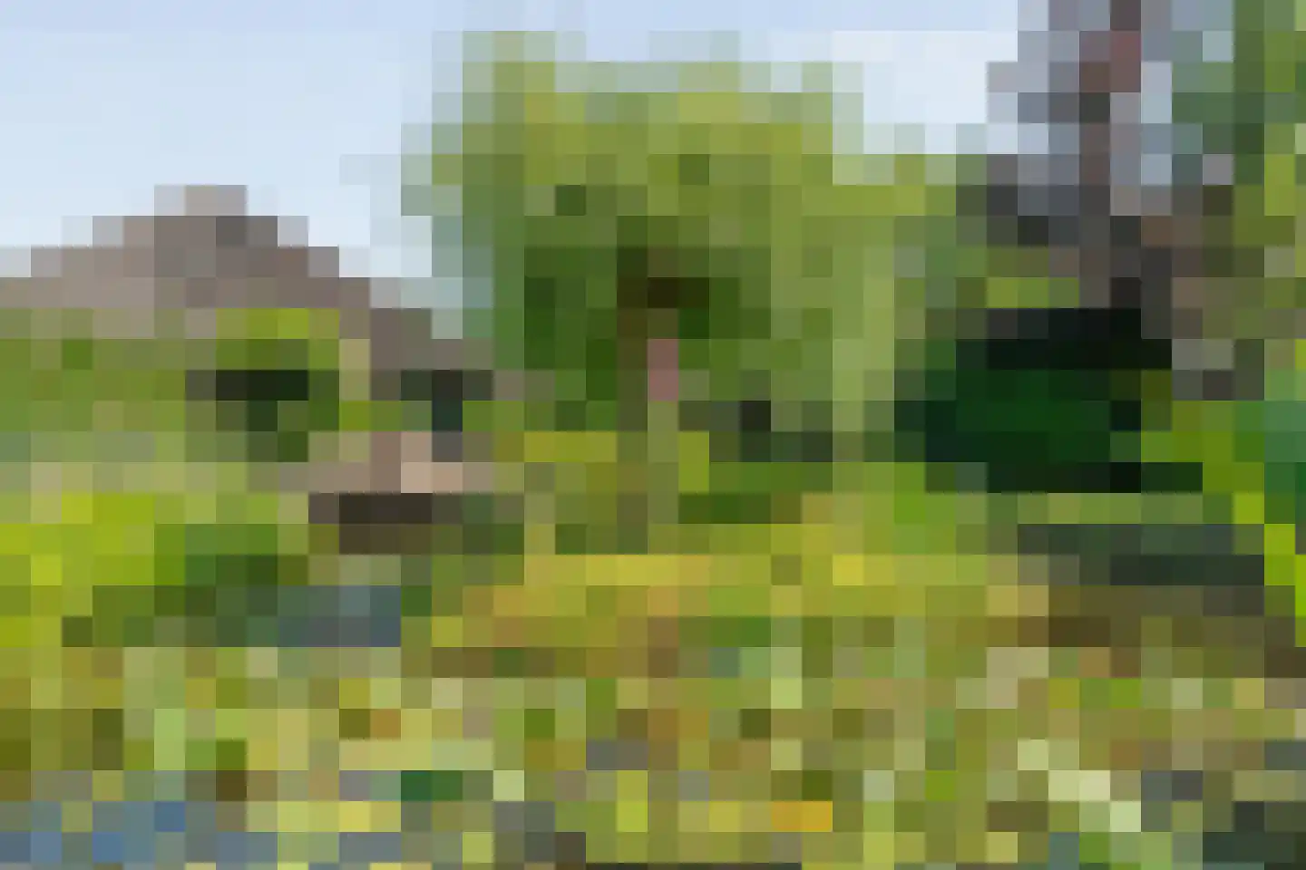 Binnenpad 16 Giethoorn thumbnail 35