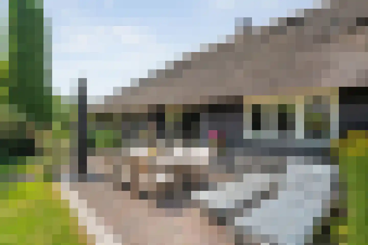 Binnenpad 16 Giethoorn thumbnail 37
