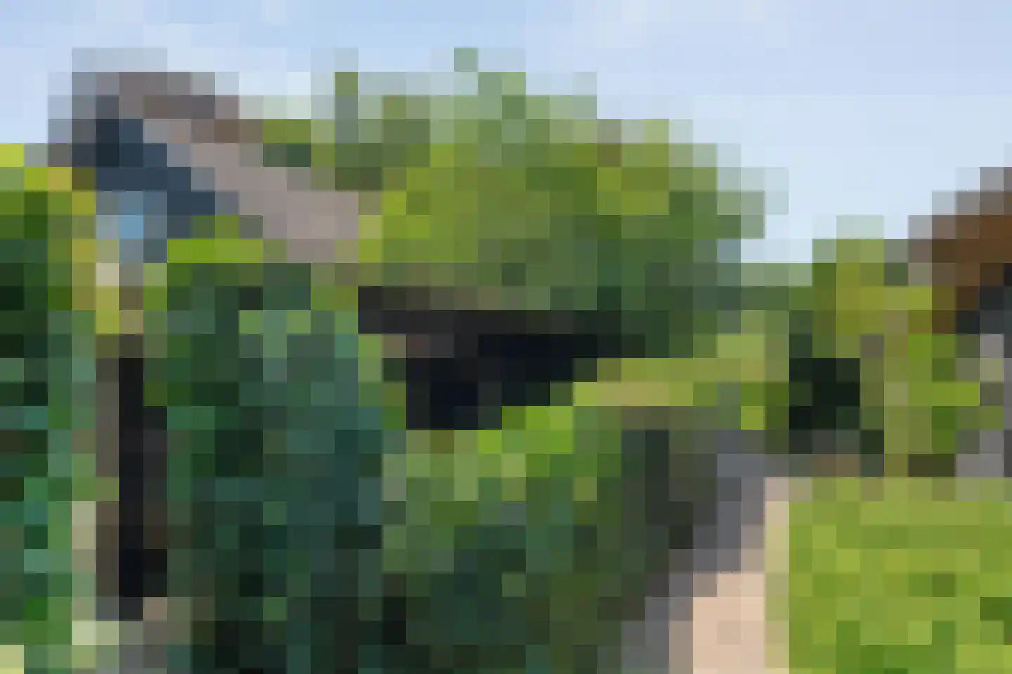 Binnenpad 16 Giethoorn thumbnail 39