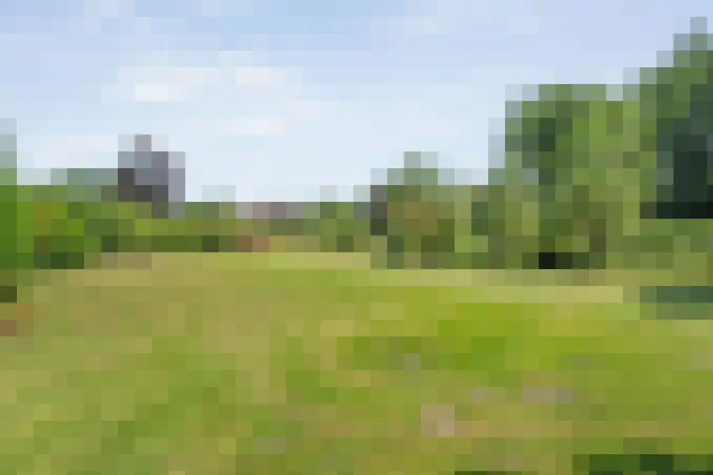Binnenpad 16 Giethoorn thumbnail 5