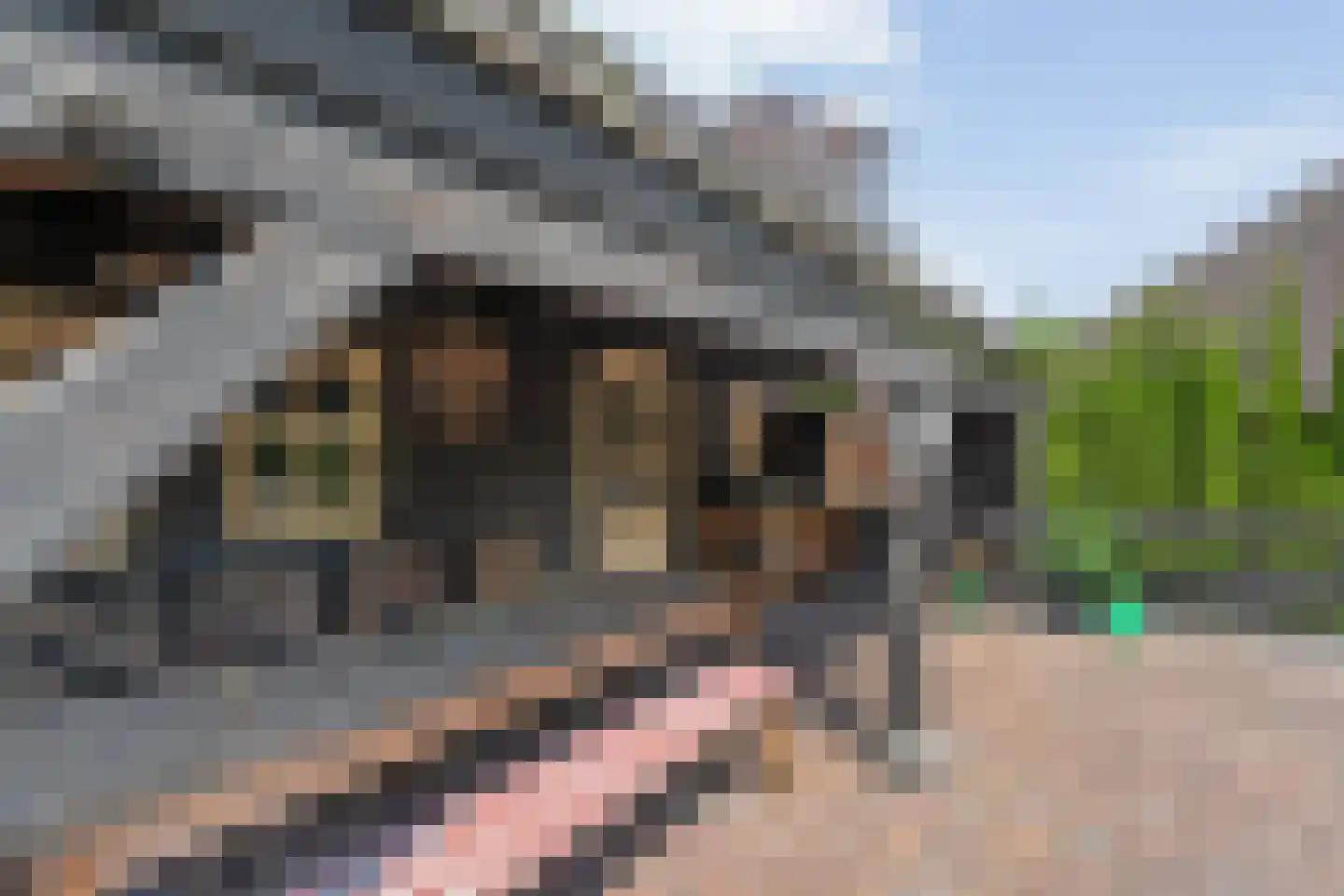 Binnenpad 16 Giethoorn thumbnail 50