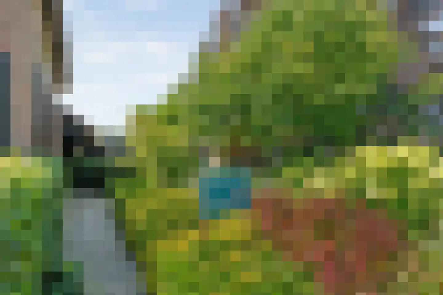 Binnenpad 16 Giethoorn thumbnail 60