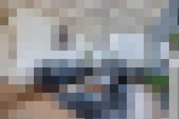 Binnenpad 17 Halsteren thumbnail 11