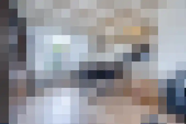 Binnenpad 17 Halsteren thumbnail 15