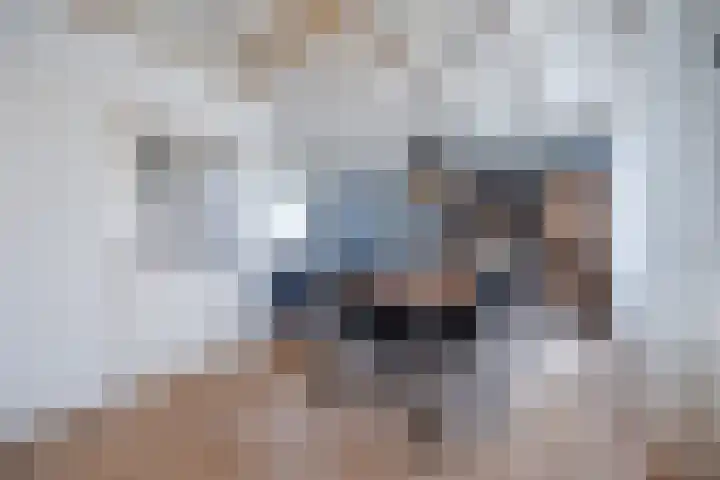 Binnenpad 17 Halsteren thumbnail 18