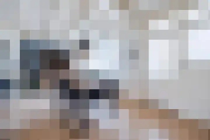 Binnenpad 17 Halsteren thumbnail 19