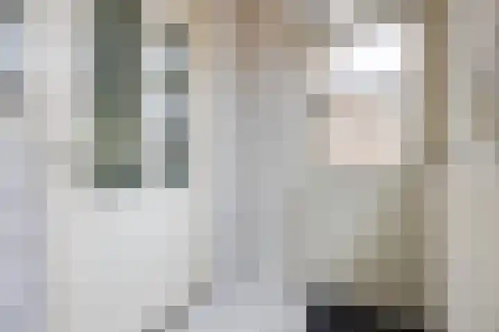 Binnenpad 17 Halsteren thumbnail 22