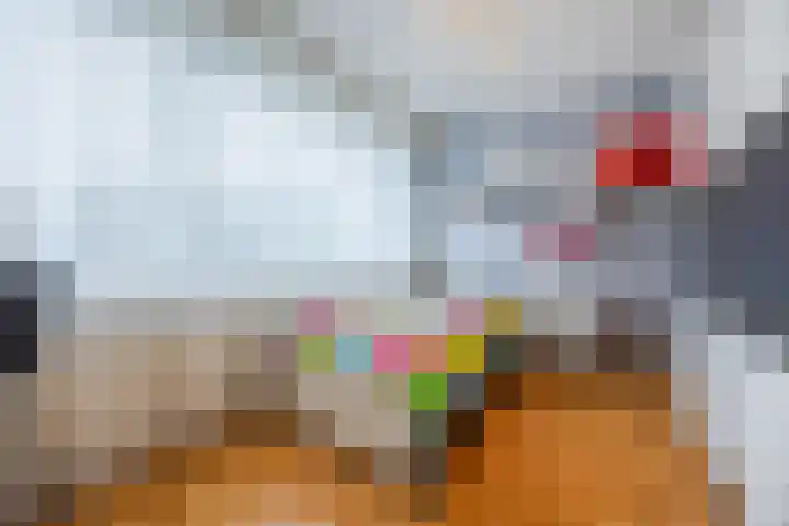 Binnenpad 17 Halsteren thumbnail 24