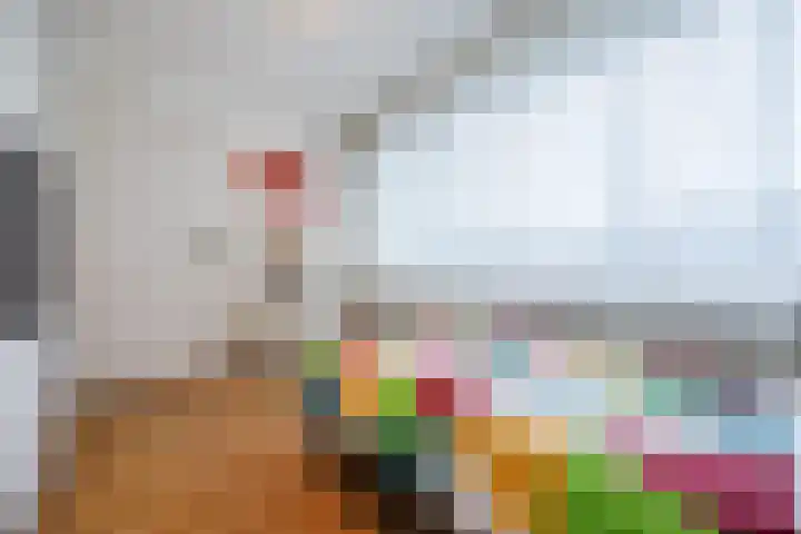 Binnenpad 17 Halsteren thumbnail 25