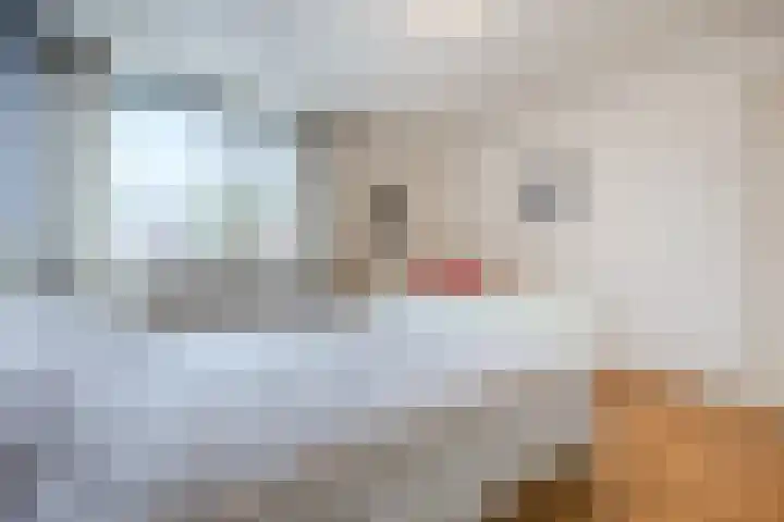 Binnenpad 17 Halsteren thumbnail 27