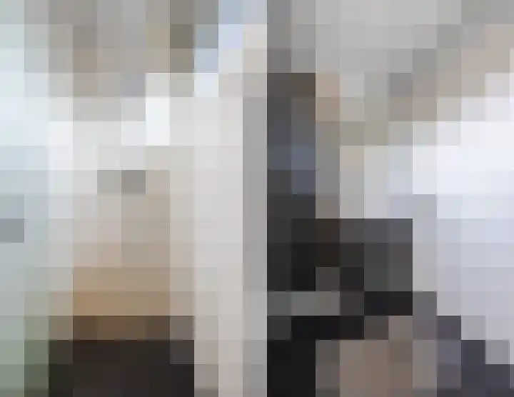 Binnenpad 17 Halsteren thumbnail 33