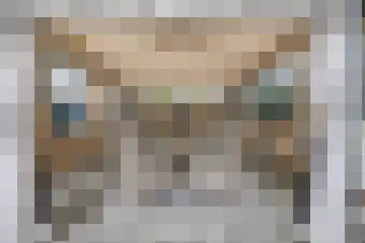 Binnenpad 17 Halsteren thumbnail 37