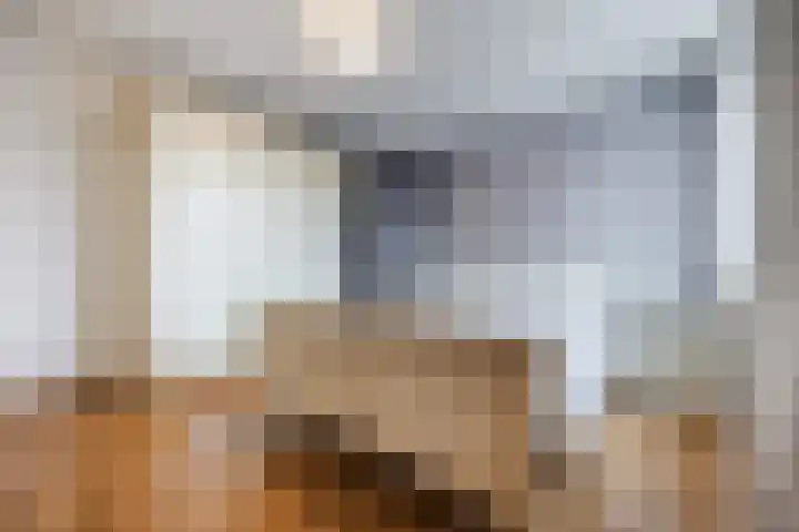 Binnenpad 17 Halsteren thumbnail 4