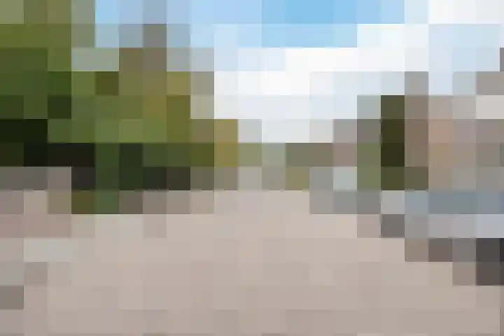 Binnenpad 17 Halsteren thumbnail 40