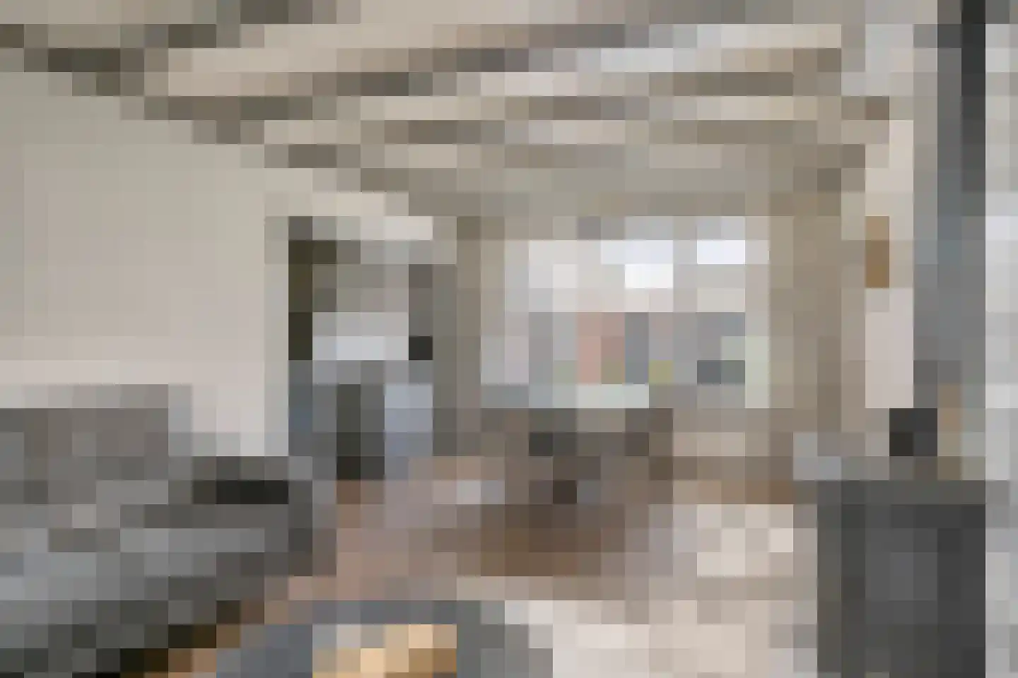 Binnenpad 18 Sprundel thumbnail 11