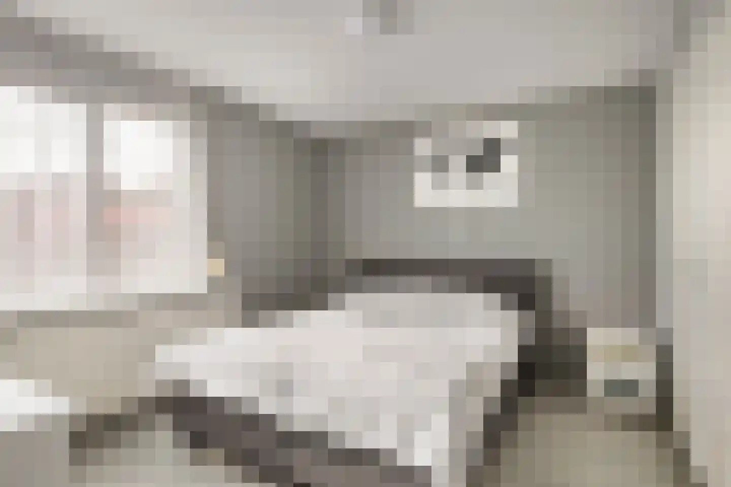 Binnenpad 18 Sprundel thumbnail 15