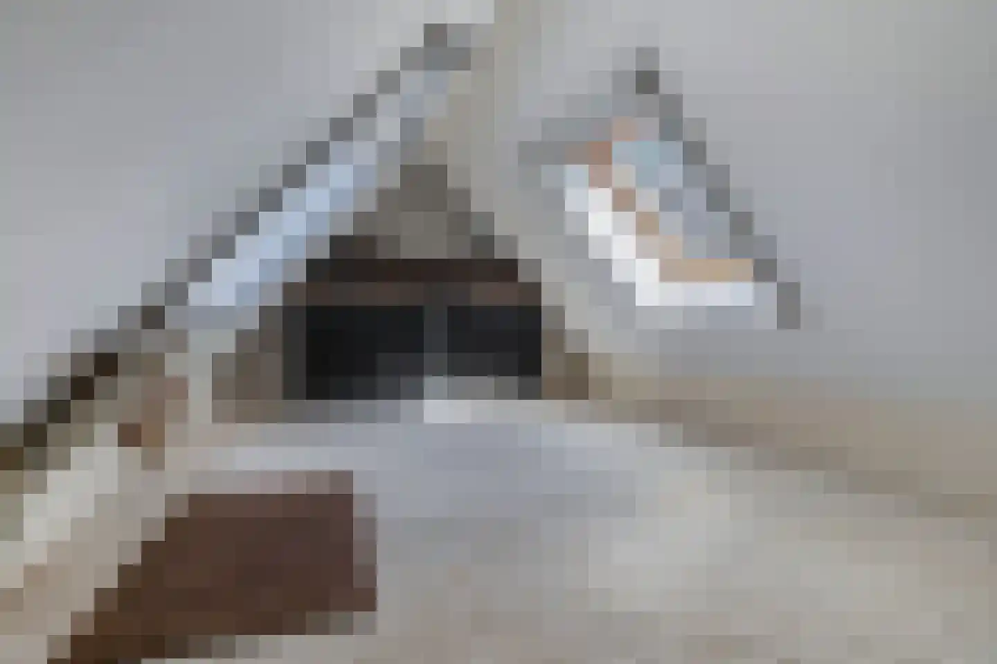 Binnenpad 23 Giethoorn thumbnail 28