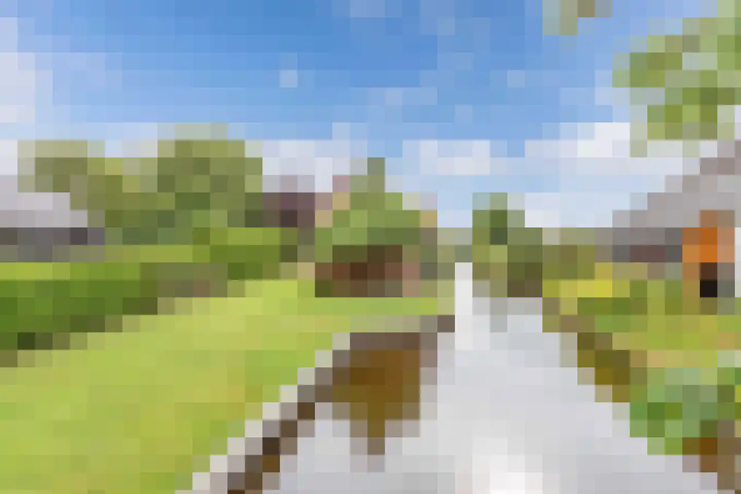 Binnenpad 23 Giethoorn foto 3
