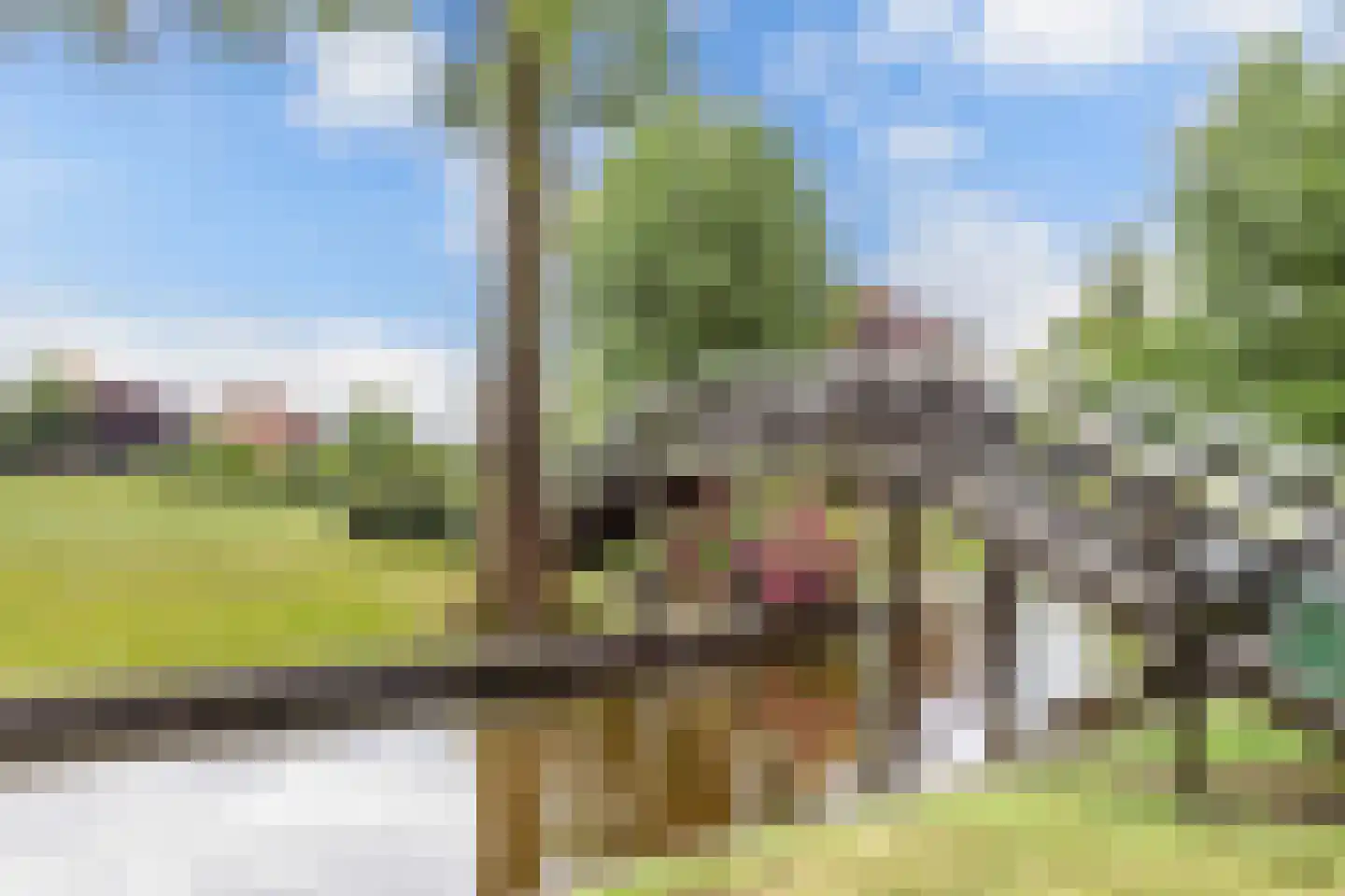 Binnenpad 23 Giethoorn thumbnail 38