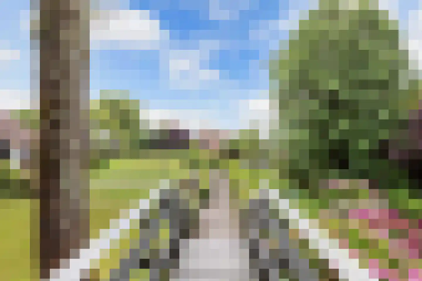 Binnenpad 23 Giethoorn thumbnail 5