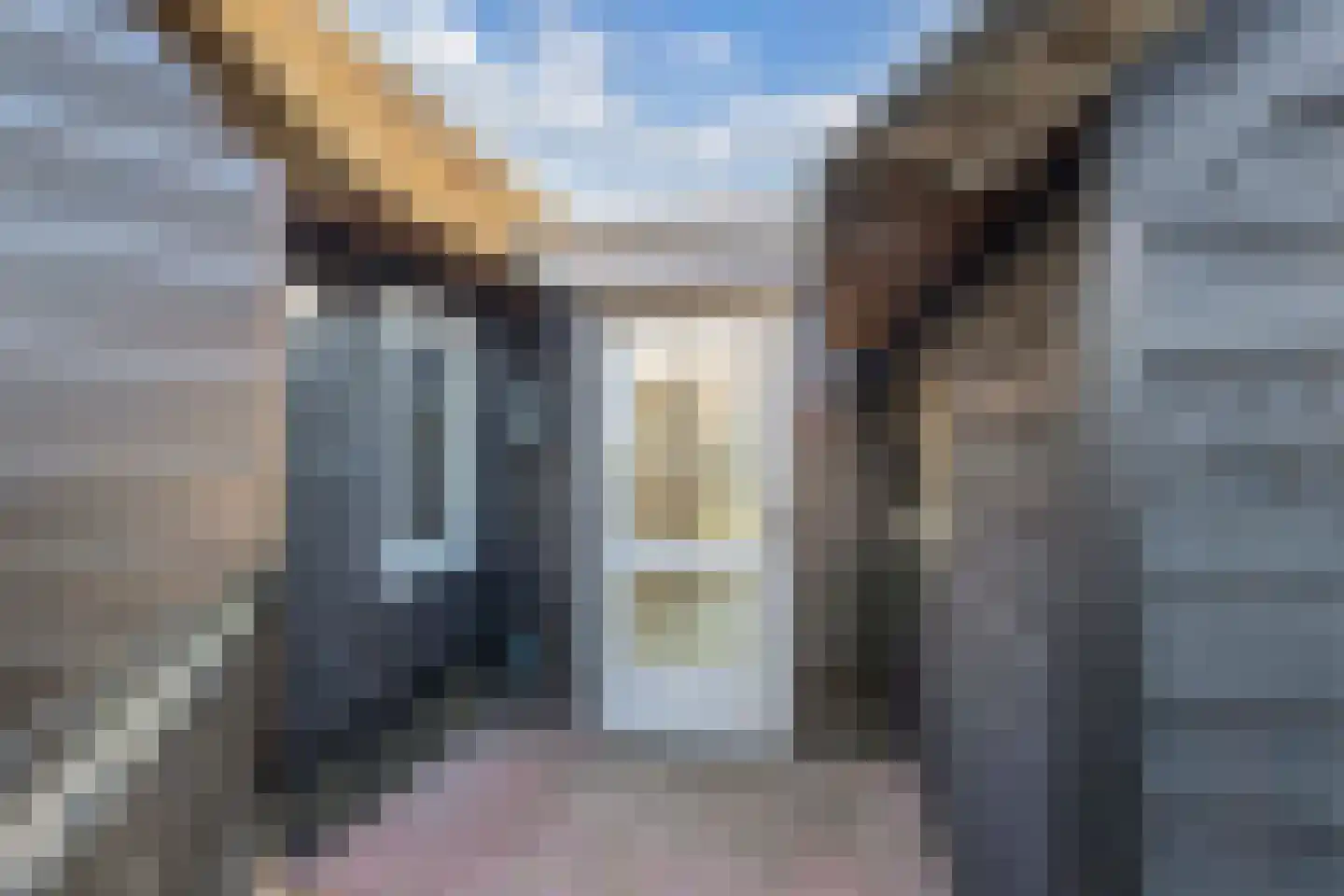 Binnenpad 23 Giethoorn thumbnail 6