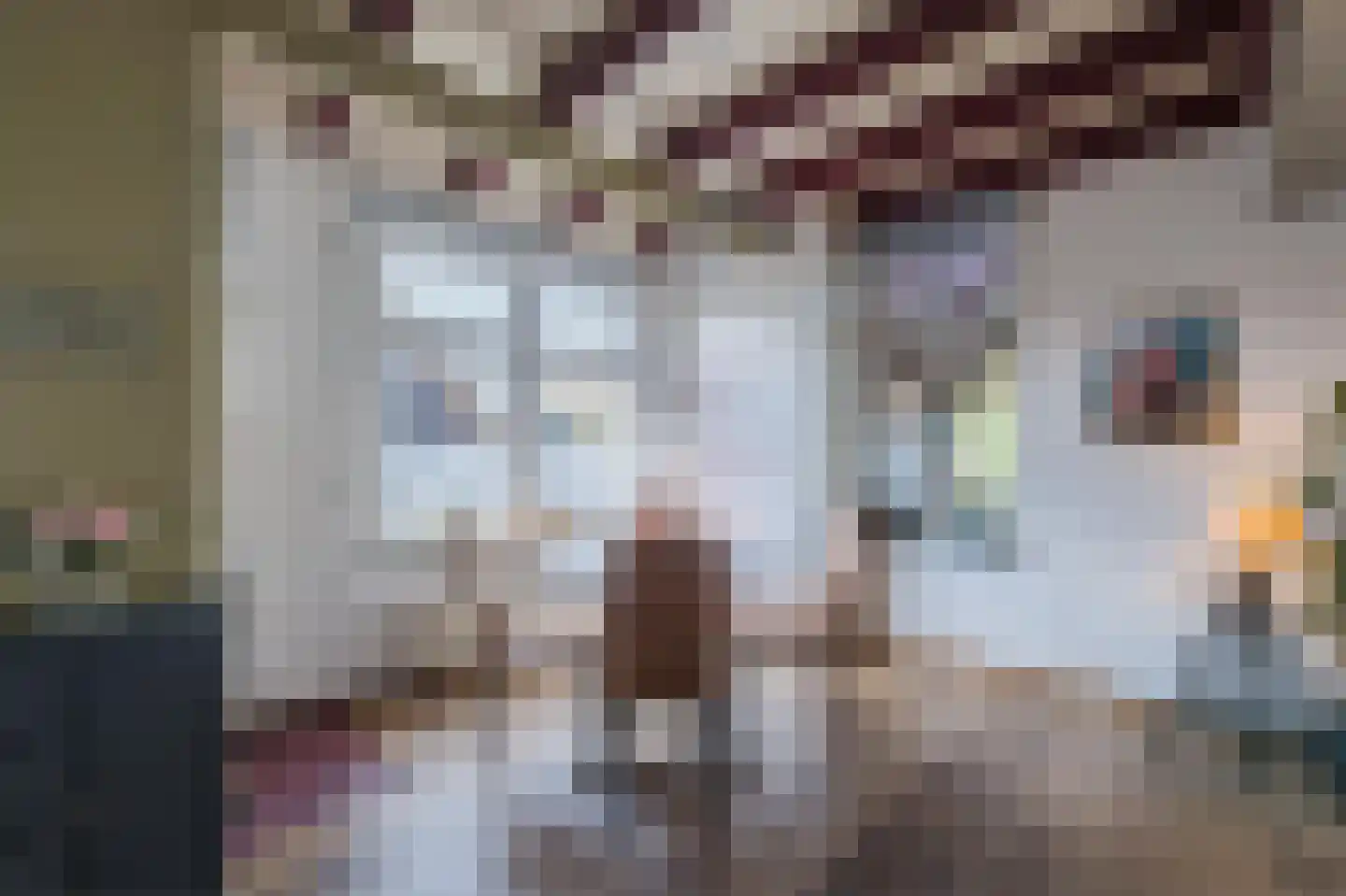 Binnenpad 25 Giethoorn thumbnail 38