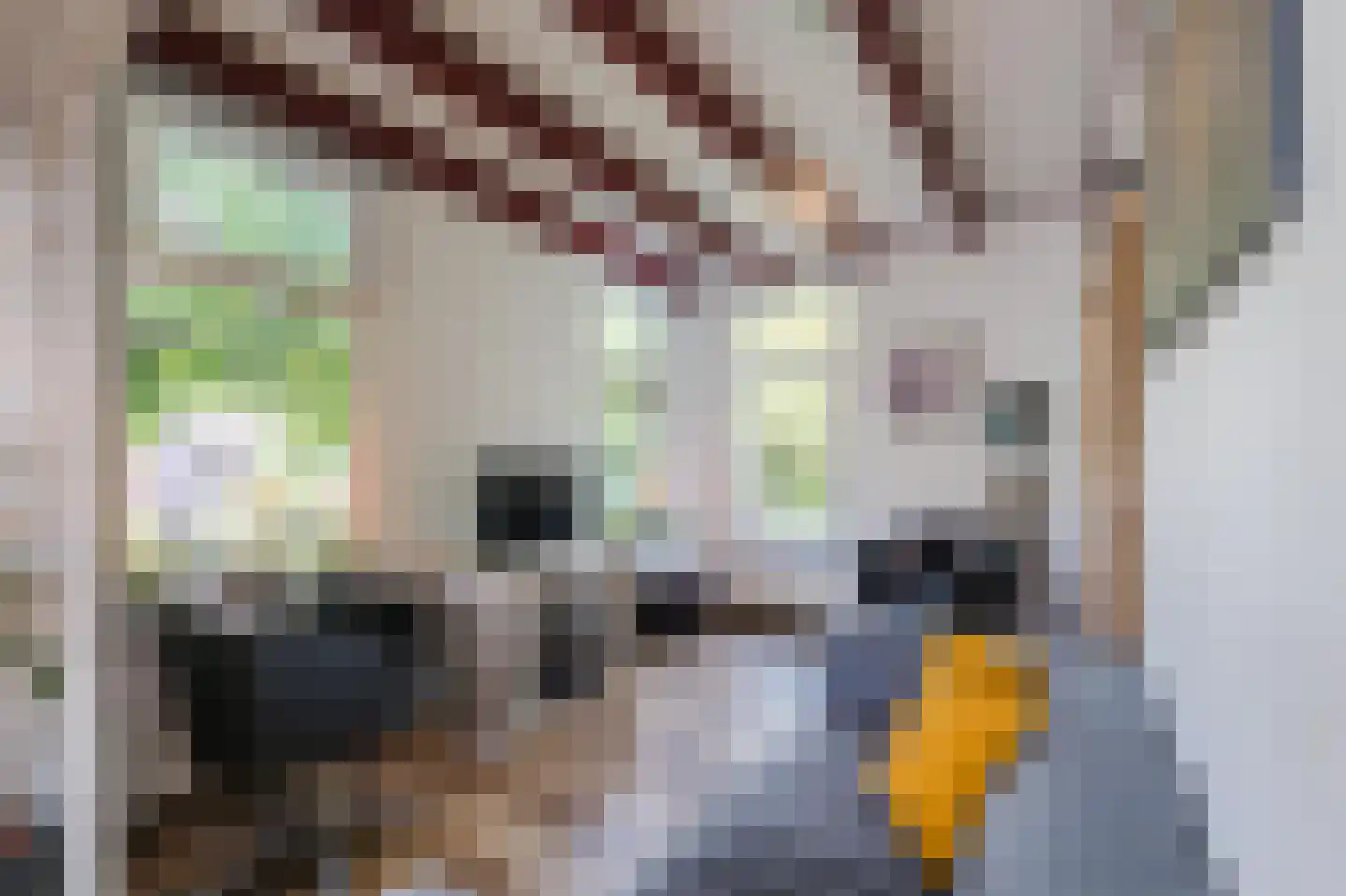 Binnenpad 25 Giethoorn thumbnail 39