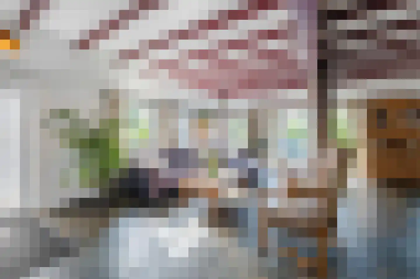 Binnenpad 25 Giethoorn thumbnail 9