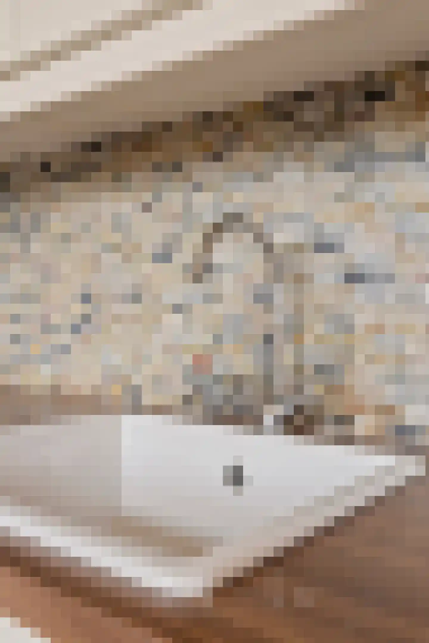 Binnenpad 28 Huijbergen thumbnail 17