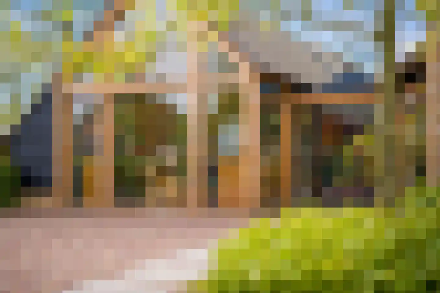 Binnenpad 30 Giethoorn thumbnail 46