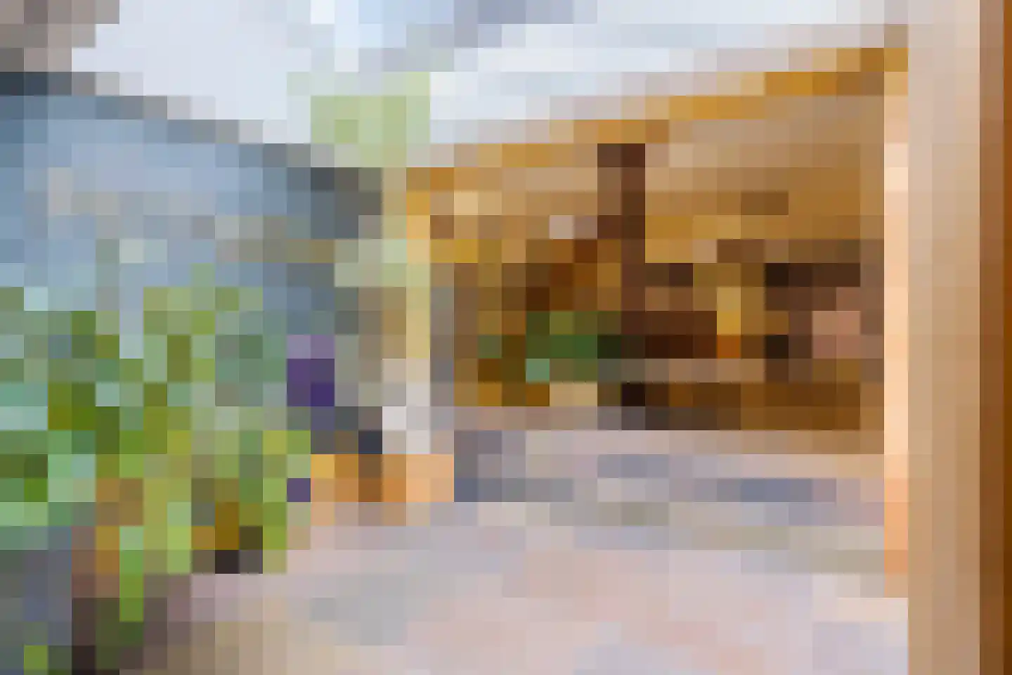 Binnenpad 30 Giethoorn thumbnail 48