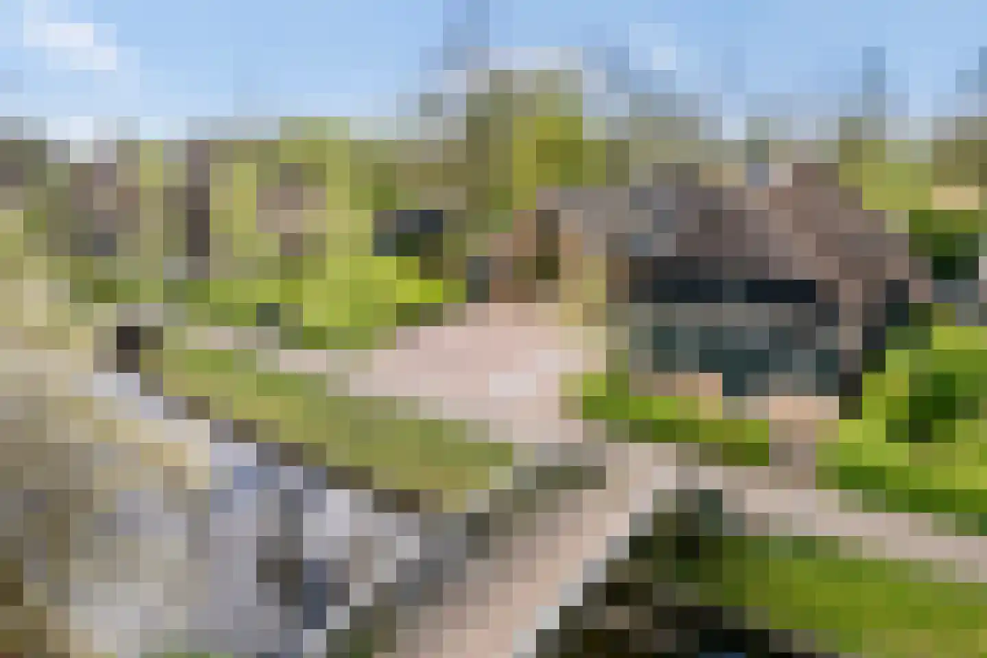 Binnenpad 30 Giethoorn thumbnail 77