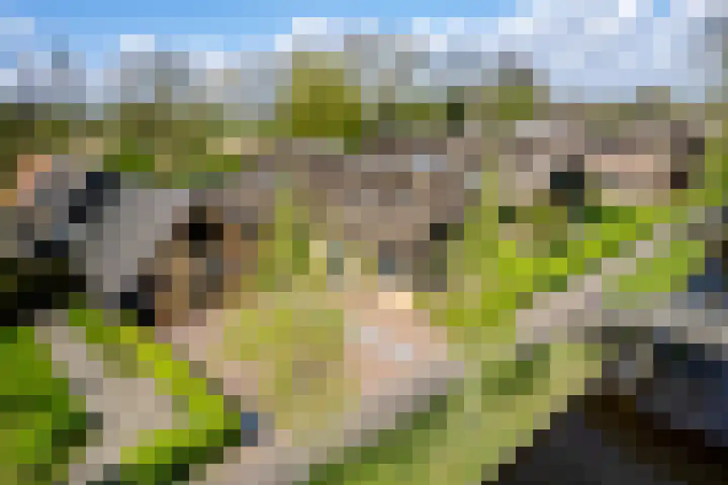 Binnenpad 30 Giethoorn thumbnail 78