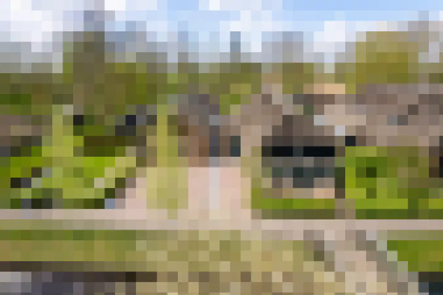 Binnenpad 30 Giethoorn thumbnail 79