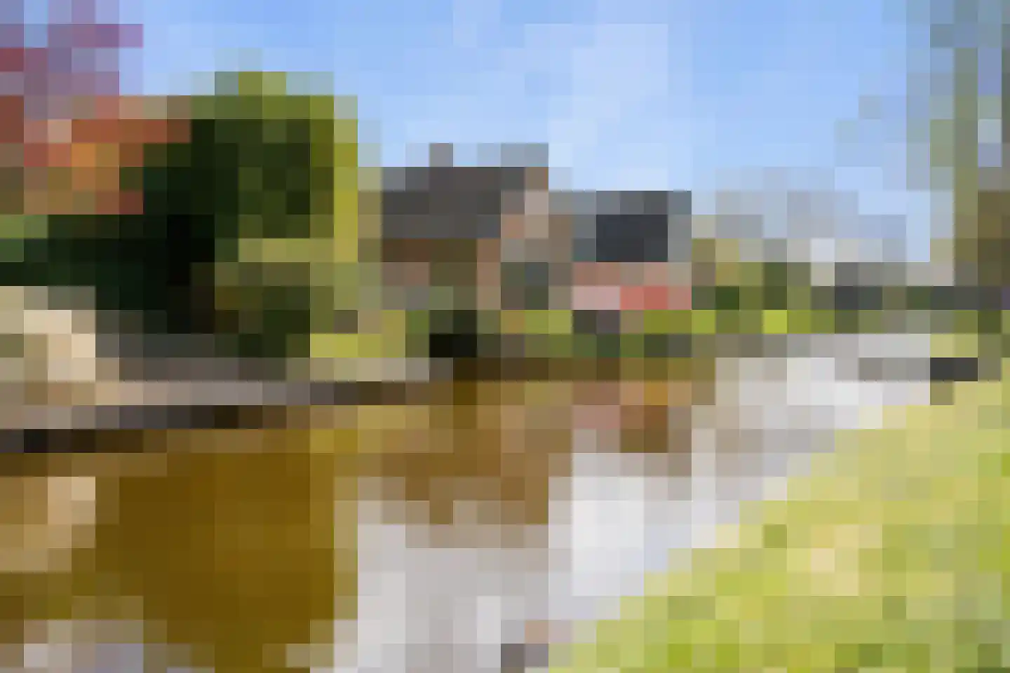 Binnenpad 30 Giethoorn thumbnail 80